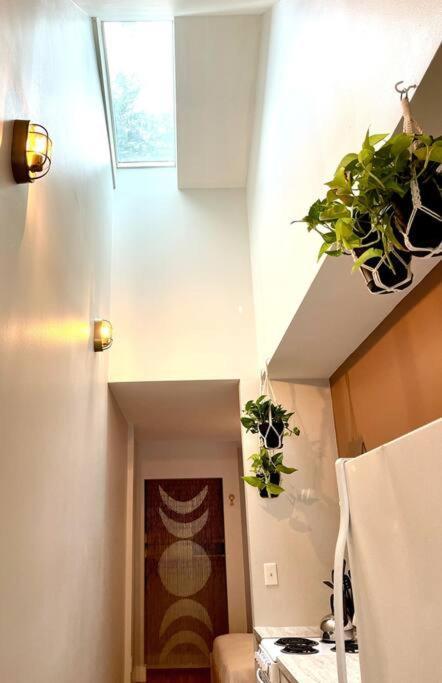 Have The Best Place In Nashville Luaran gambar